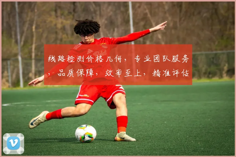 线路检测价格几何，专业团队服务，品质保障，效率至上，精准评估，3大优势，值得信赖