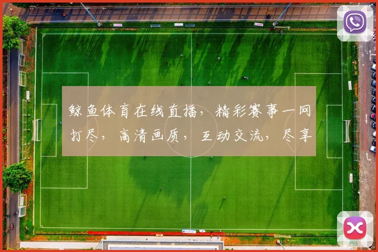 鲸鱼体育在线直播，精彩赛事一网打尽，高清画质，互动交流，尽享观赛乐趣，不容错过