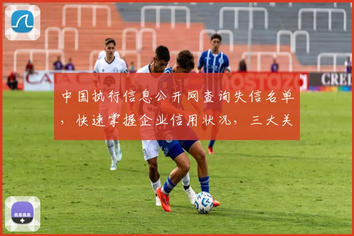 中国执行信息公开网查询失信名单，快速掌握企业信用状况，三大关键信息不容错过，