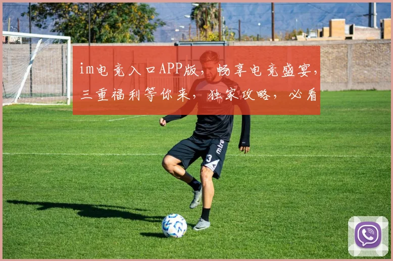 im电竞入口APP版，畅享电竞盛宴，三重福利等你来，独家攻略，必看