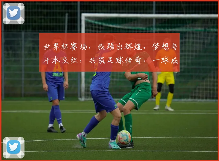 世界杯赛场，我踢出辉煌，梦想与汗水交织，共筑足球传奇，一球成名